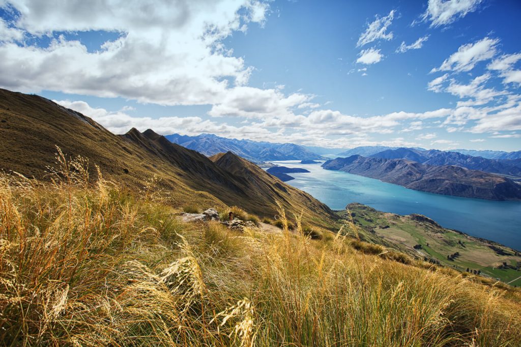 Roys Peak, New Zealand