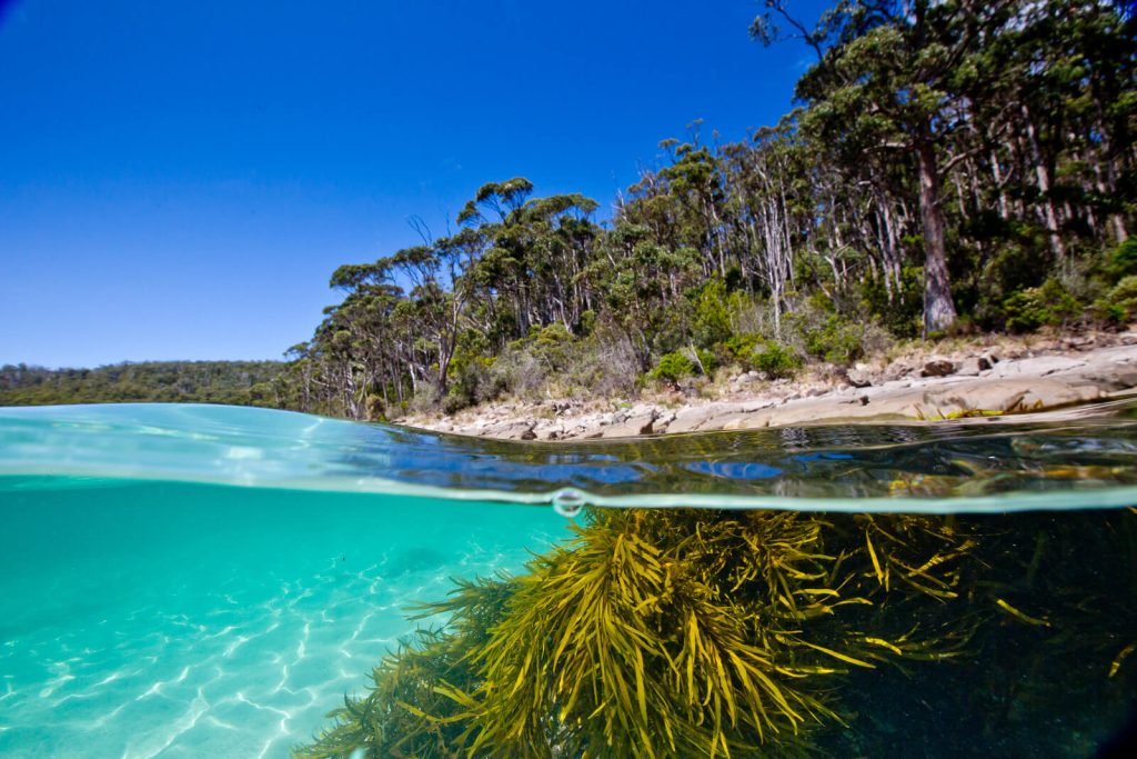 Crystal Clear