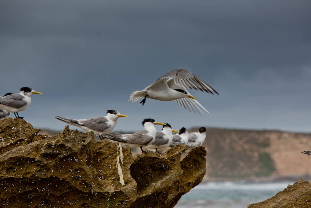 Coffin Bay, South Australia