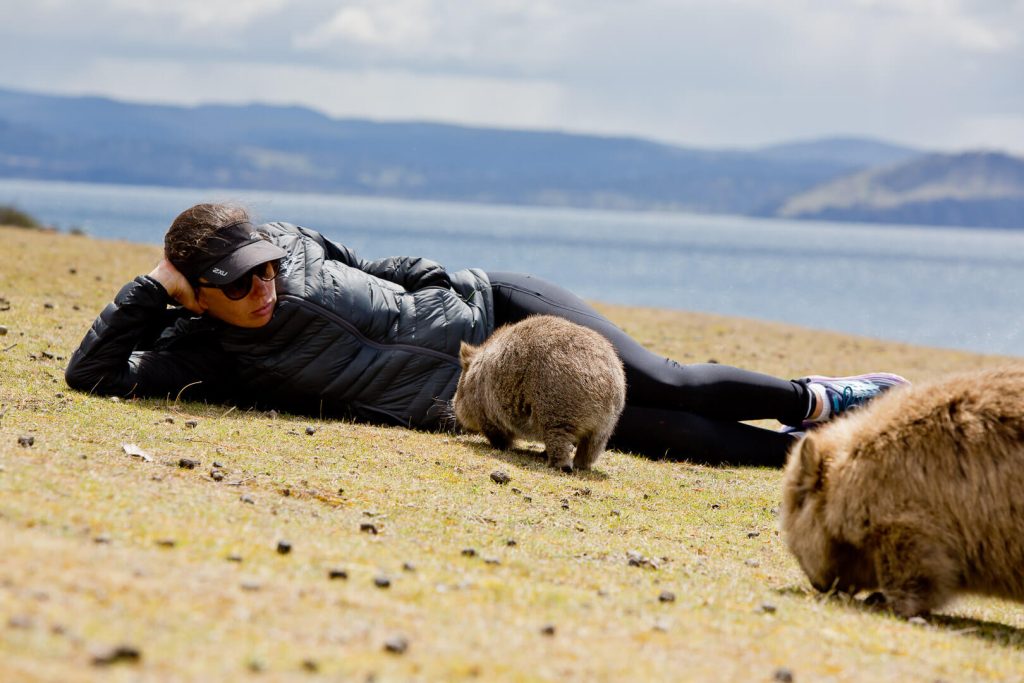 Baby Wombat inspects a visitor