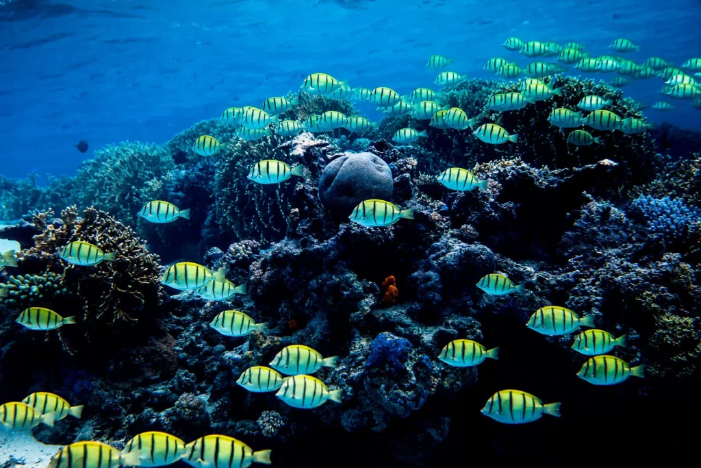 Ha'apai, Tonga