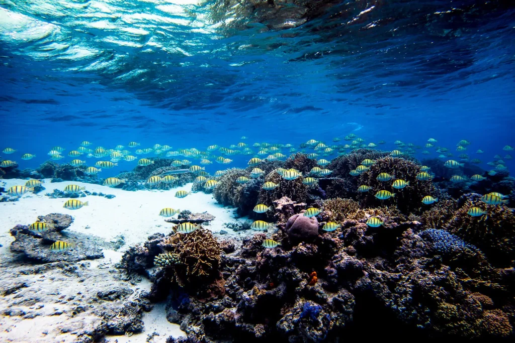 Ha'apai, Tonga