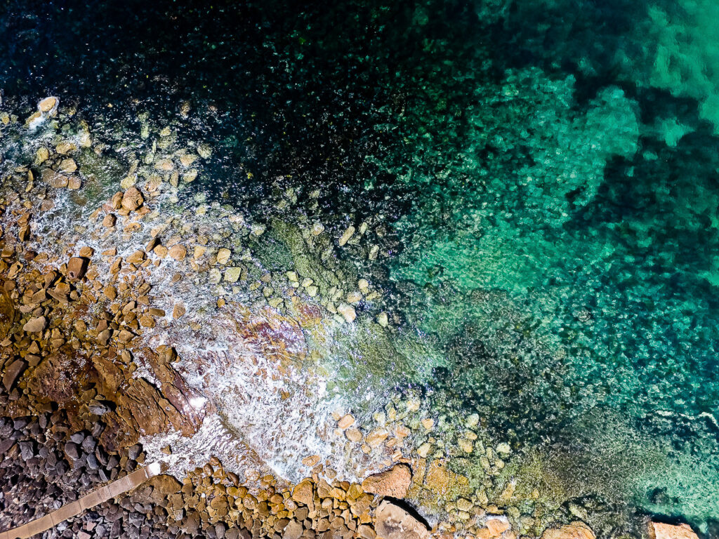 Divers, Gordons Bay